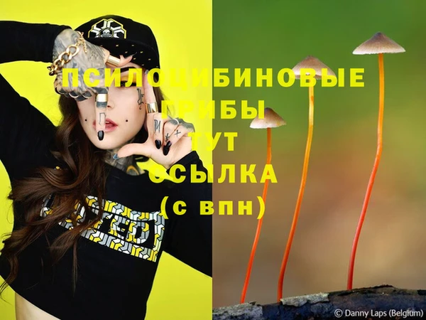 эйфоретик Аркадак