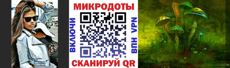 закладки  Новошахтинск  Псилоцибиновые грибы ЛСД 